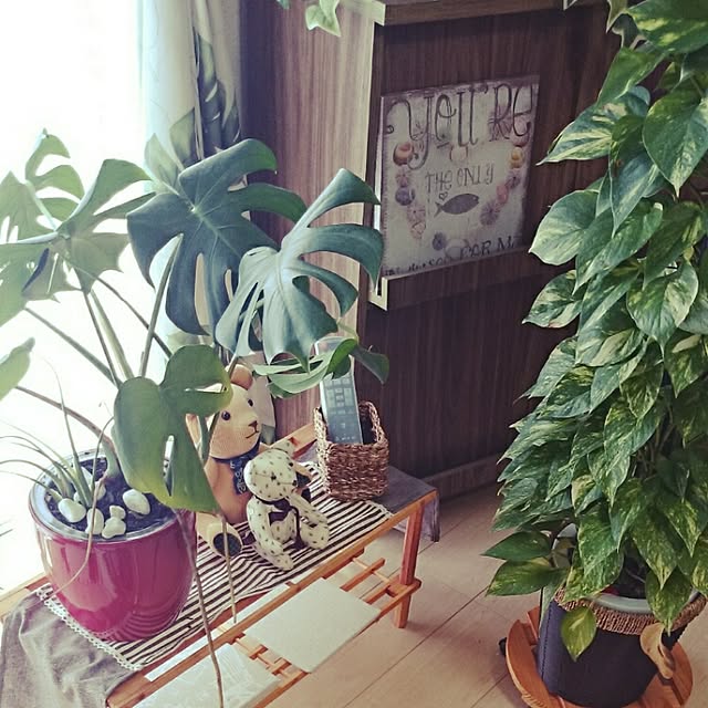 Nao.0124さんの実例写真