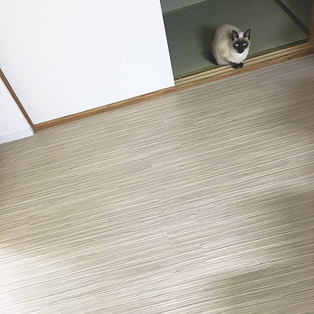 bb_chairさんの実例写真
