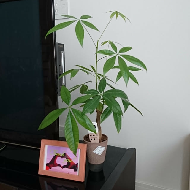 micaさんの実例写真