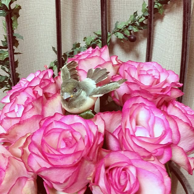junさんの実例写真