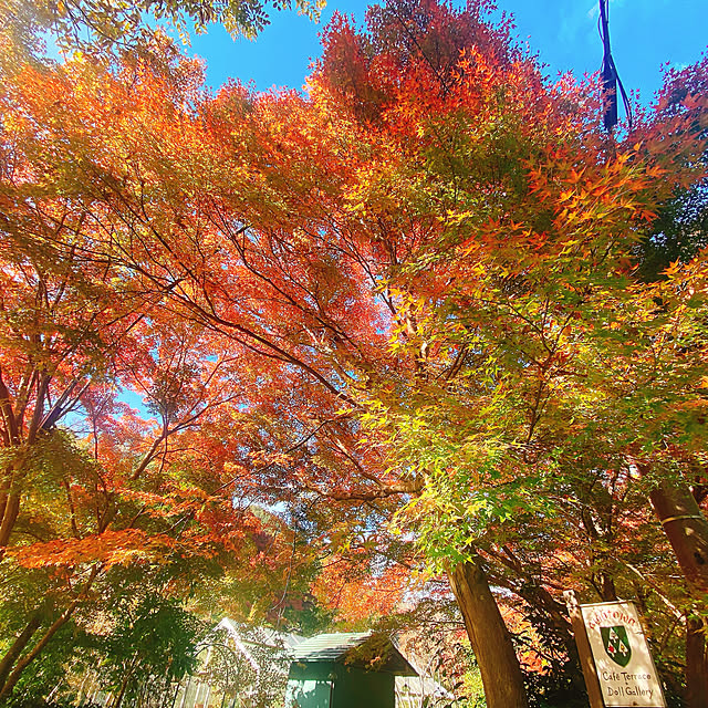 privateroomさんの部屋