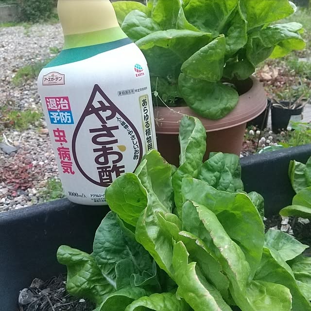 Rさんの部屋