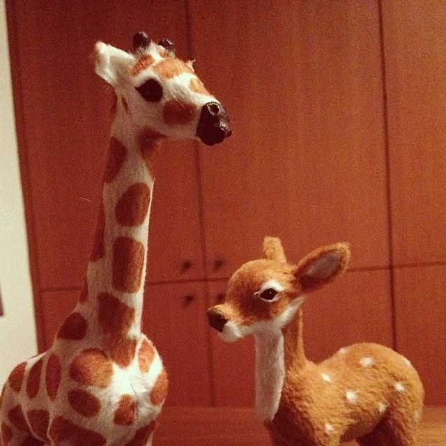 nuinuiさんの実例写真