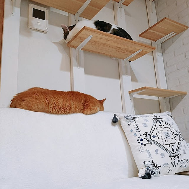 kirakirahikaruさんの実例写真