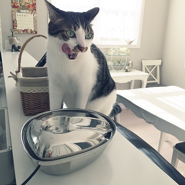 yuchiさんの実例写真