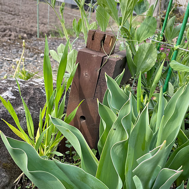 natsumiさんの部屋