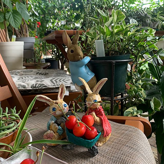 Aqettyさんの実例写真