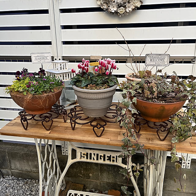 felicityさんの実例写真