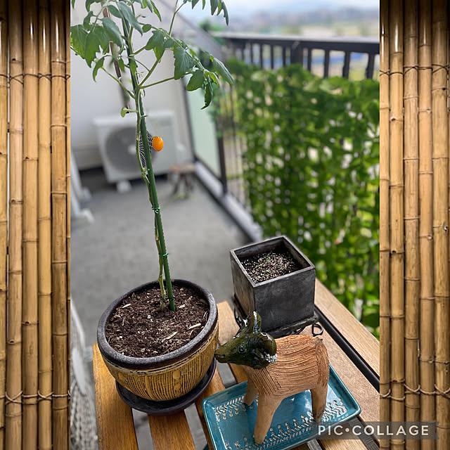 aureaさんの実例写真