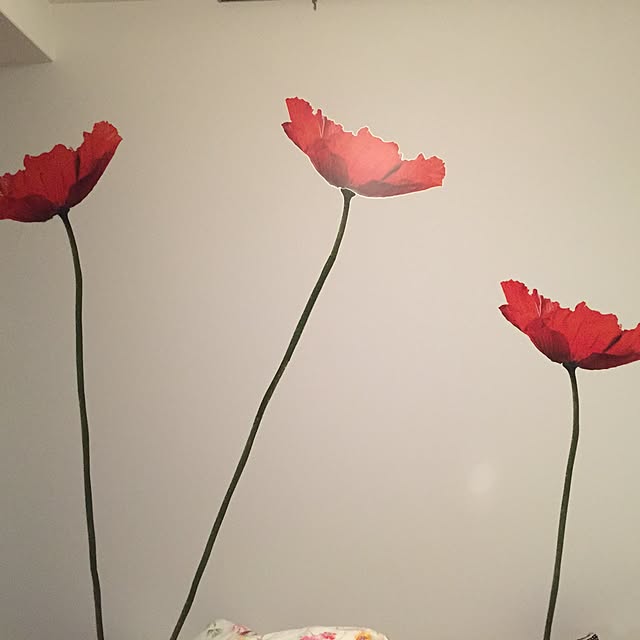 壁/天井/IKEA/一人暮らしのインテリア実例 - 2015-03-04 22:57:58