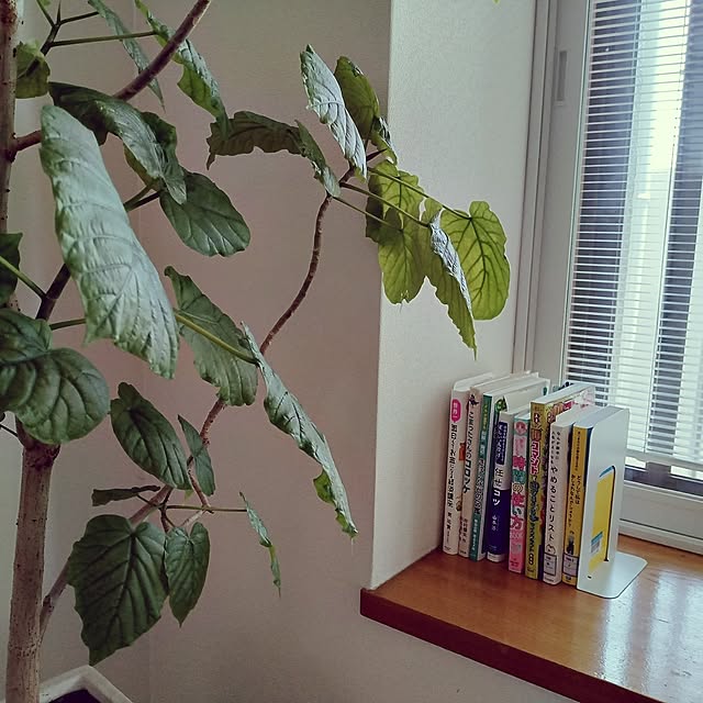 aiさんの部屋