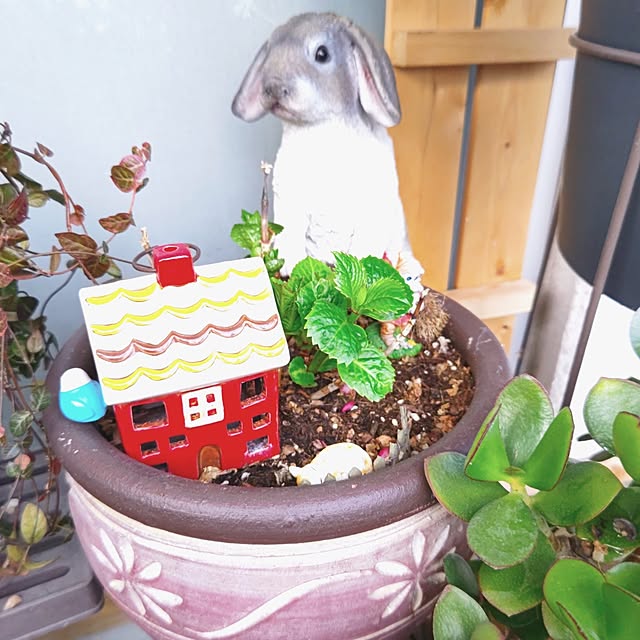 mariaさんの実例写真