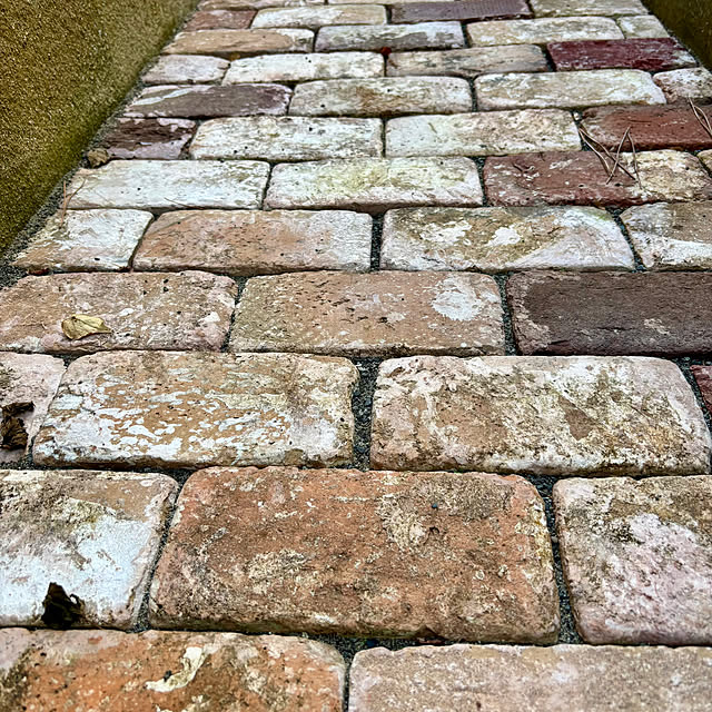 kasugaiさんの部屋