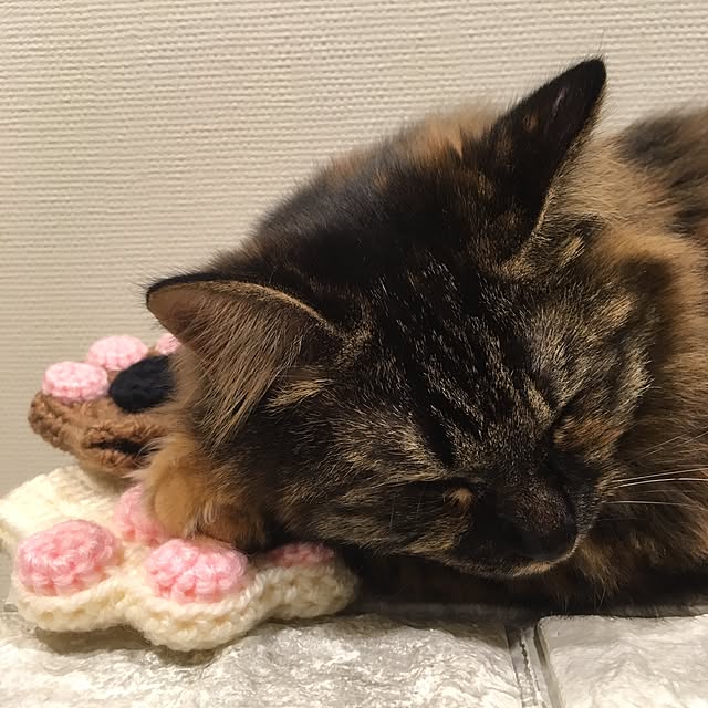 mikomaruさんの実例写真