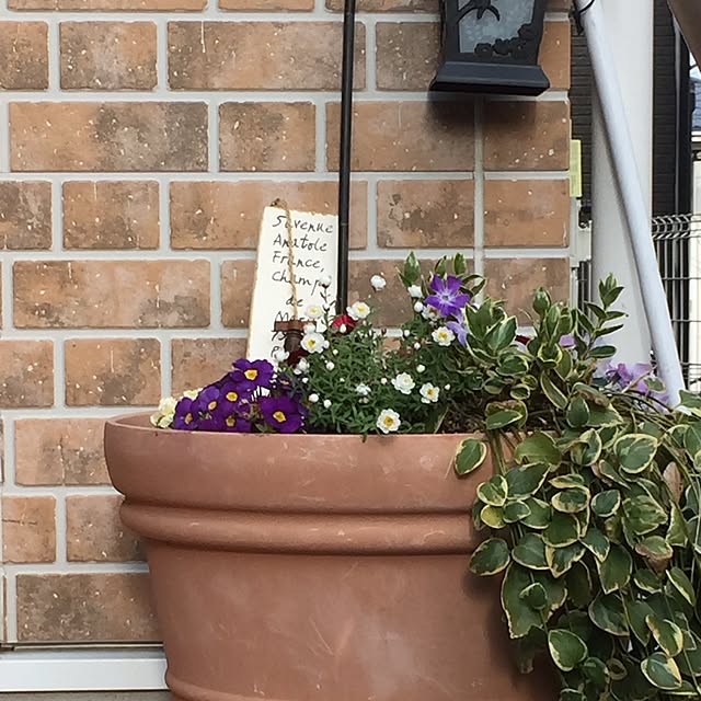 pikarunさんの実例写真