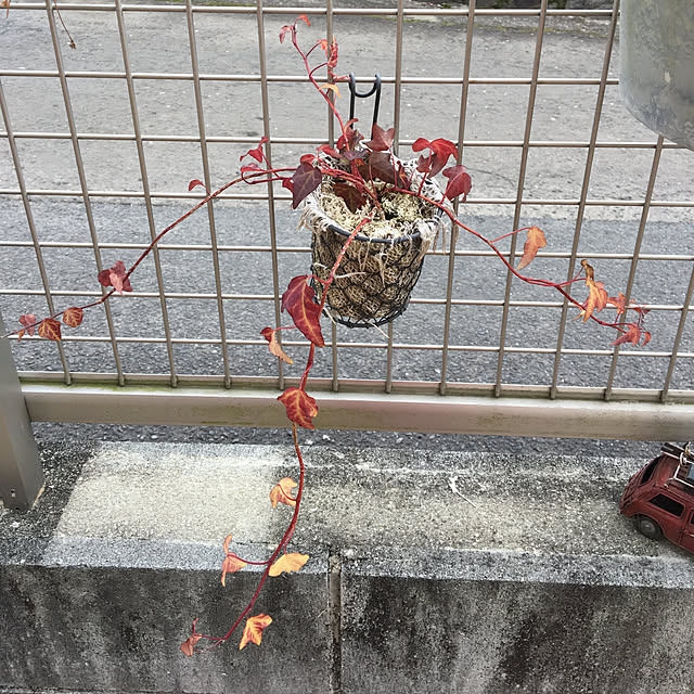 sanw2225719さんの実例写真