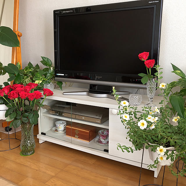 RanRanさんの実例写真