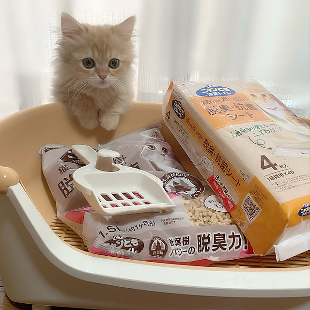 HULAさんの実例写真
