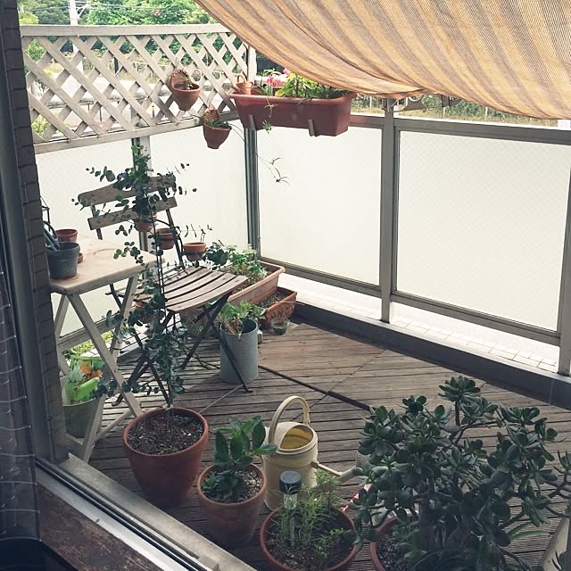 paakoさんの実例写真