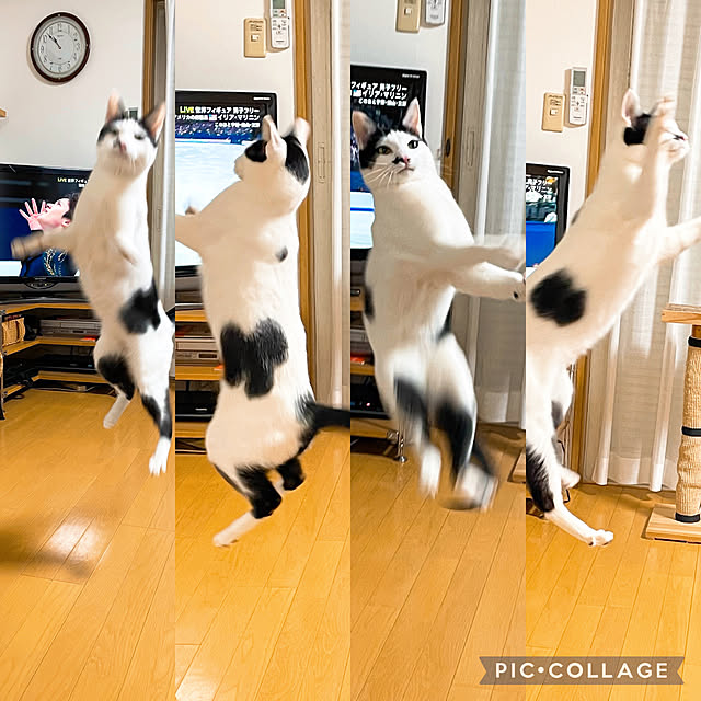 nobikoさんの実例写真