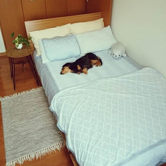 reonさんの実例写真