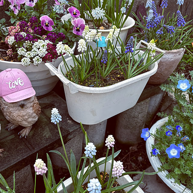 CoCo0617さんの実例写真