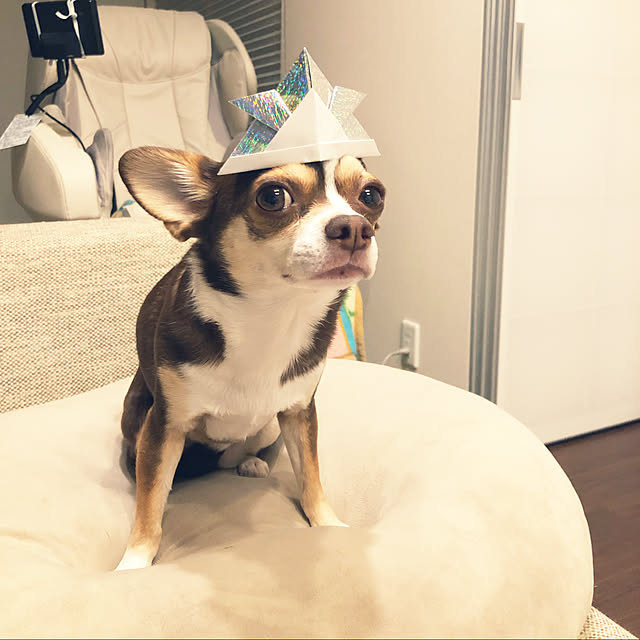 maroさんの実例写真