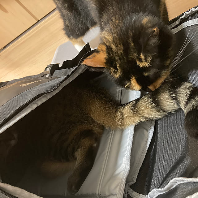 kirinsanさんの部屋