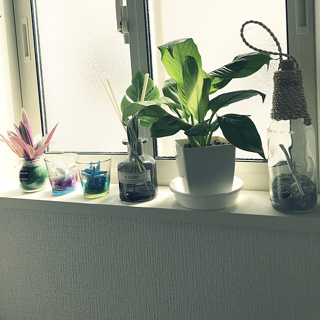 観葉植物/バス/トイレのインテリア実例 - 2019-04-20 09:50:04