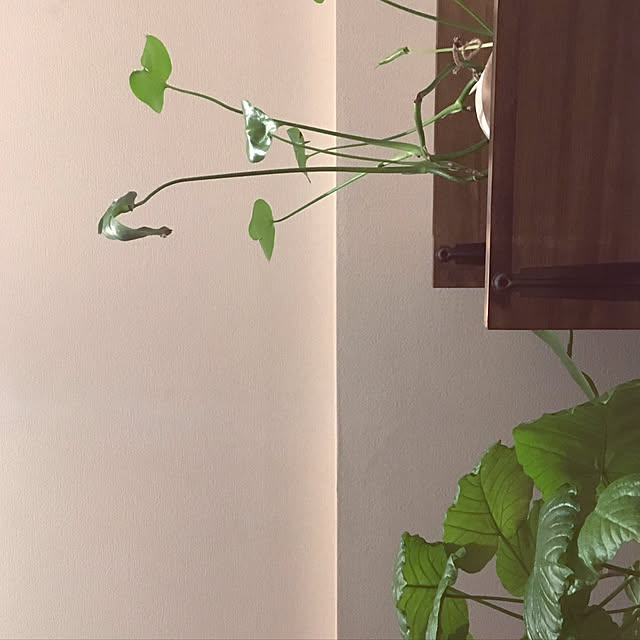 Ray.mさんの実例写真