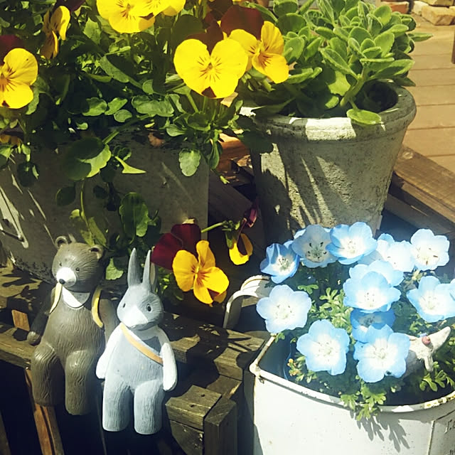 hi-yaさんの実例写真
