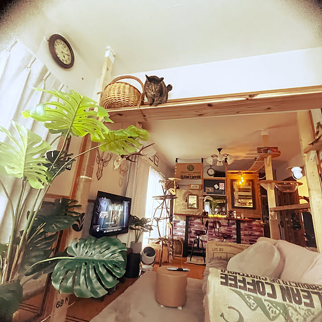 Mさんの部屋