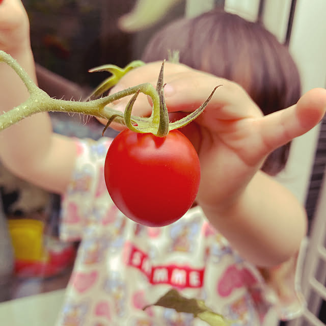 食育♡/子どもと暮らす/野菜作り/ベランダガーデニング/家庭菜園...などのインテリア実例 - 2021-09-02 21:07:28