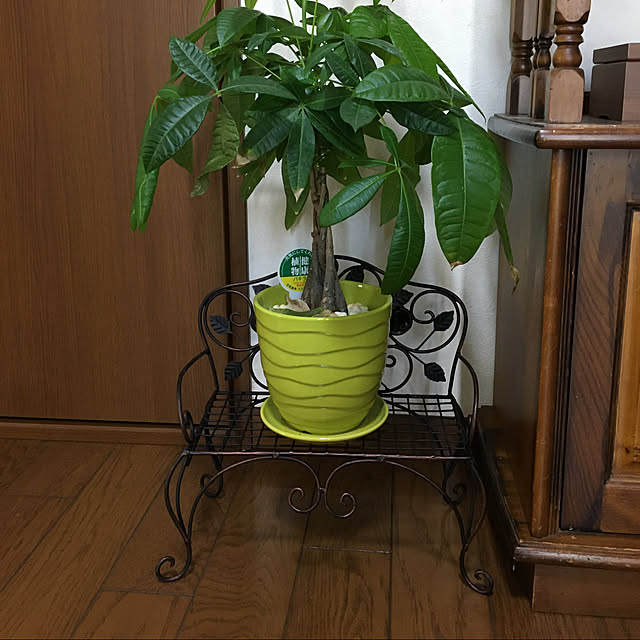 kirakirahoshiさんの実例写真