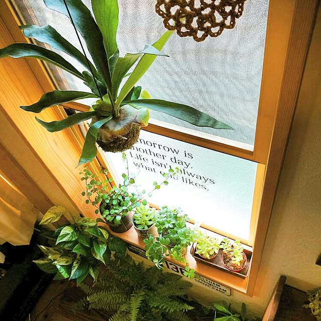 slow-lifeさんの実例写真