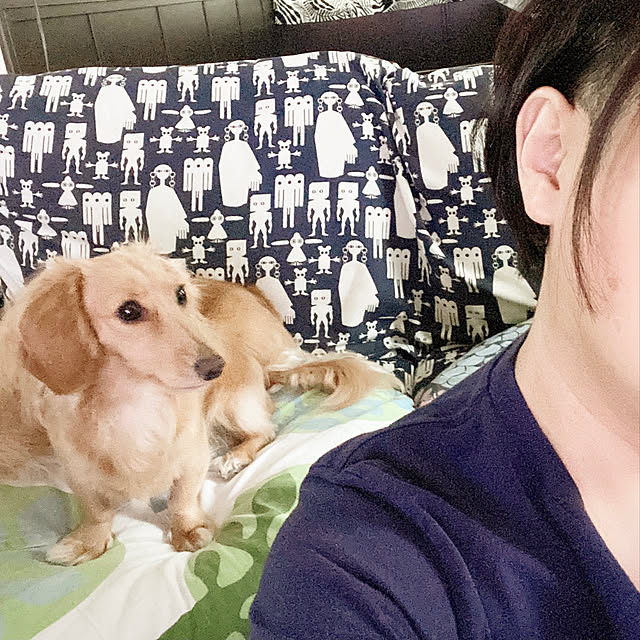 ikeさんの実例写真