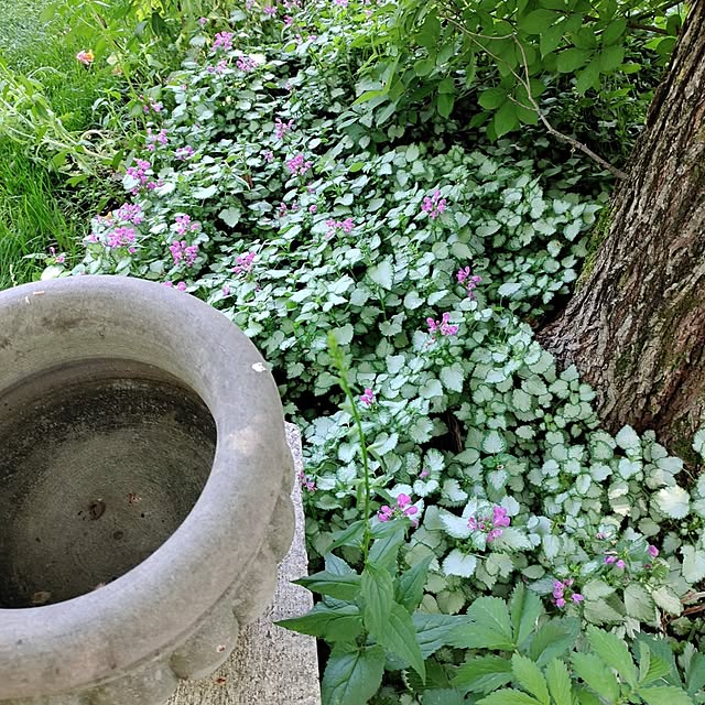 kiraさんの部屋