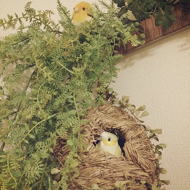 hassyさんの実例写真