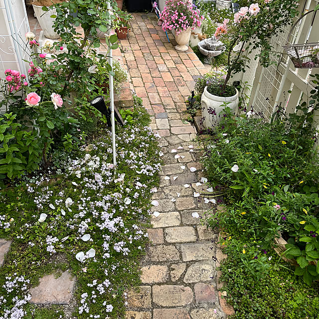 sakuraさんの部屋