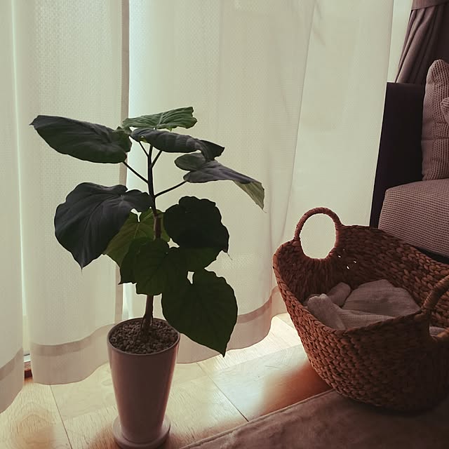 riechocolateさんの実例写真