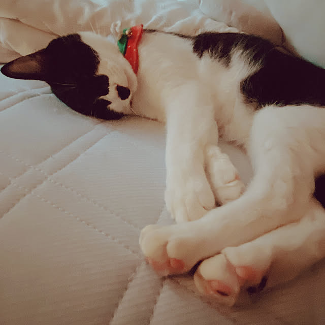 moolさんの実例写真