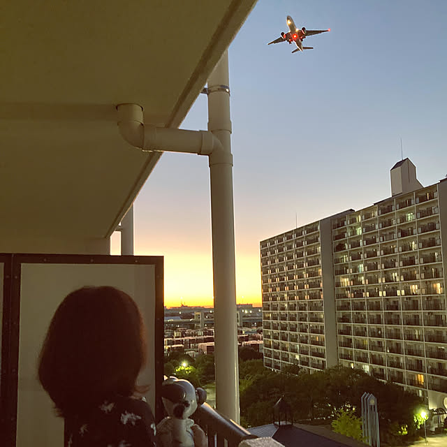 aureaさんの実例写真