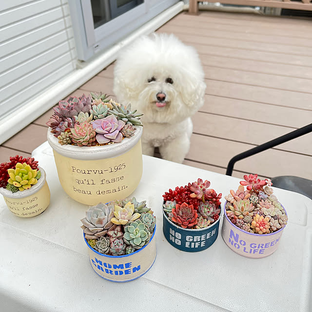 unichanさんの実例写真