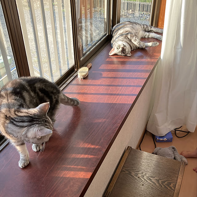 zabonzabonさんの実例写真
