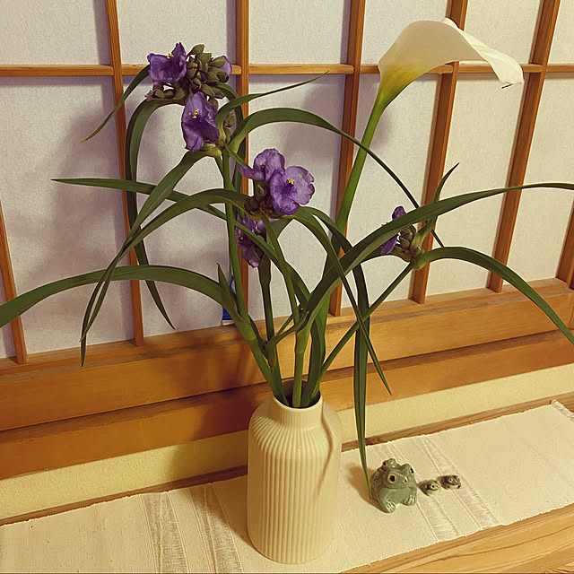 a_h.omeさんの実例写真