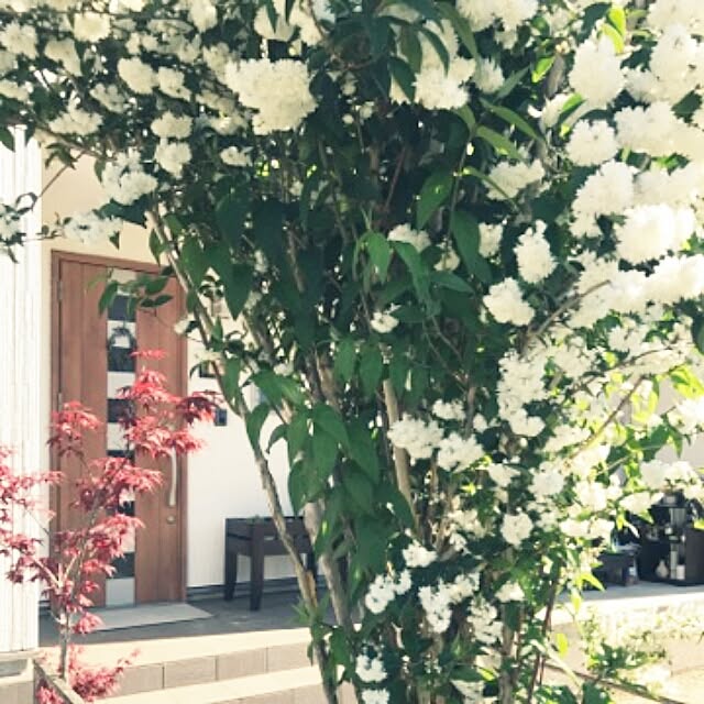 poemwalkさんの実例写真