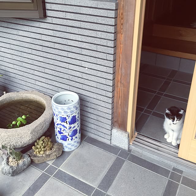 mirinrinさんの実例写真