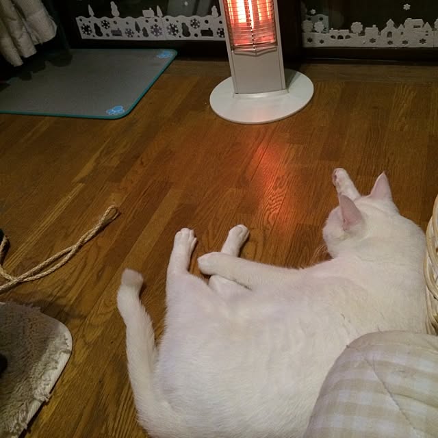inoさんの実例写真