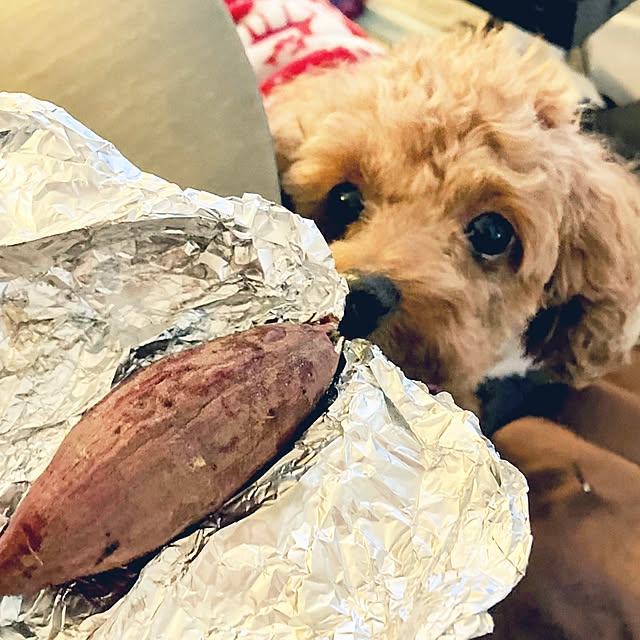 MOMOMAMAさんの部屋