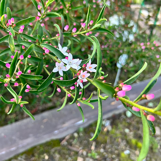 banbinaさんの部屋